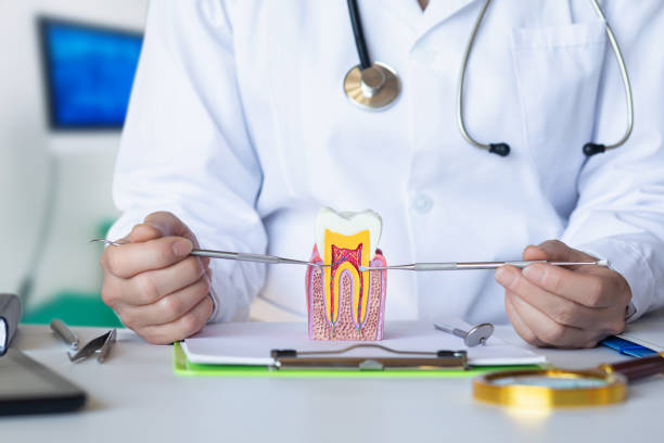Best Emergency Root Canal Therapy in Kermit, TX